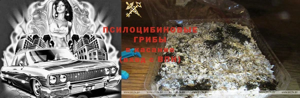 мдма Бородино
